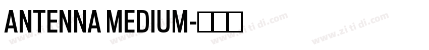 ANTENNA MEDIUM字体转换